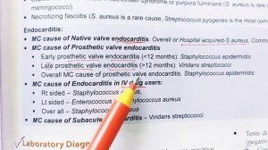 Staphylococcus | Microbiology lecture 😀