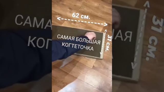 Встречайте НОВИНКУ!? Самая большая когтетовка "Сота-Макси"❗️