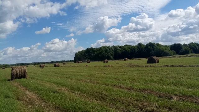 прф 145 часть 2 смотреть онлайн