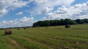 прф 145 часть 2