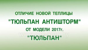 Теплица Тюльпан Премиум (Антишторм)