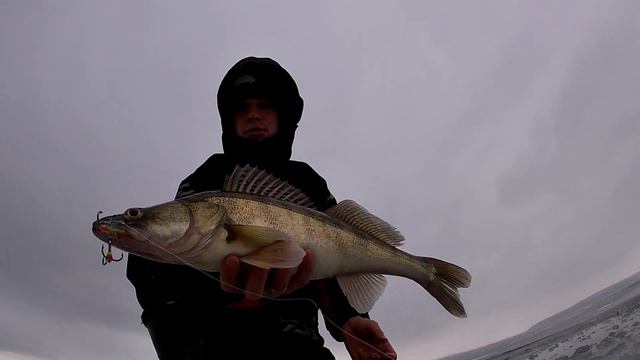 Этот БАЛАНСИР Karismax сделал рыбалку! УБОЙНЫЙ балансир для рыбалки ЗИМОЙ! ПЕРВЫЙ ЛЕД 2021 в Казан смотреть онлайн