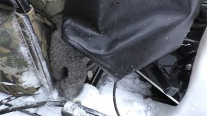 Модуль "Толкач". Обзор и тесты