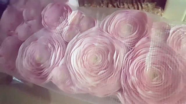 Фотозона из гигантских ранункулюсов смотреть онлайн