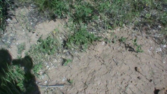 Крот оказался слепышом смотреть онлайн