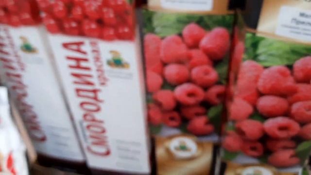 ОБИ Посадочный материал,саженцы.
