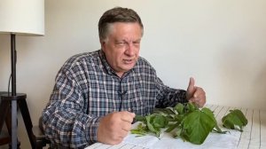 Кто агрессор, а кто старожил?