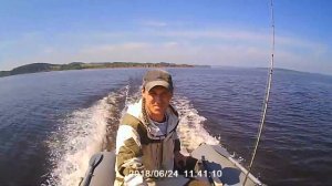 Catfish-290 + Yamaha 8. Камское водохранилище