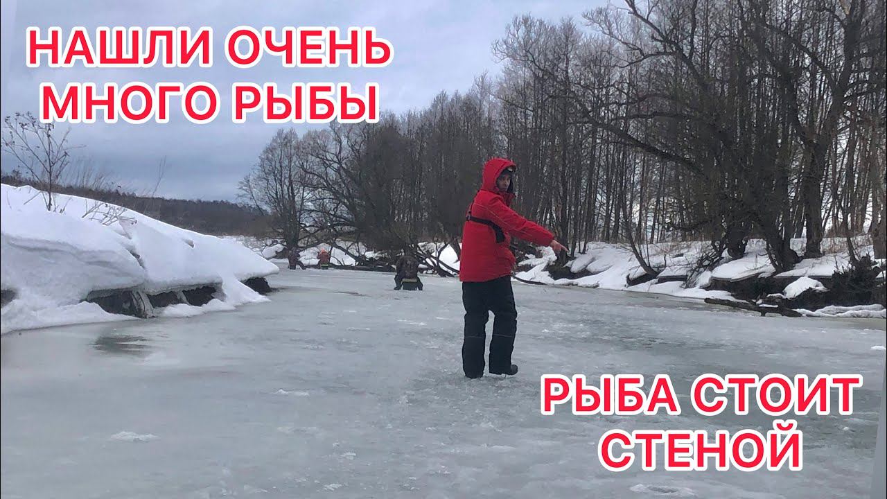 НАШЛИ ОЧЕНЬ МНОГО РЫБЫ / Рыба СТОИТ СТЕНОЙ / ОПУСТИЛИ КАМЕРУ и УДИВИЛИСЬ смотреть онлайн