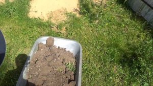 Удобрение для плодовых деревьев своими руками. Чем удобрять деревья?