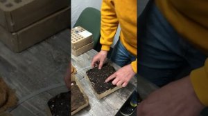 Из чего состоит MagicPot