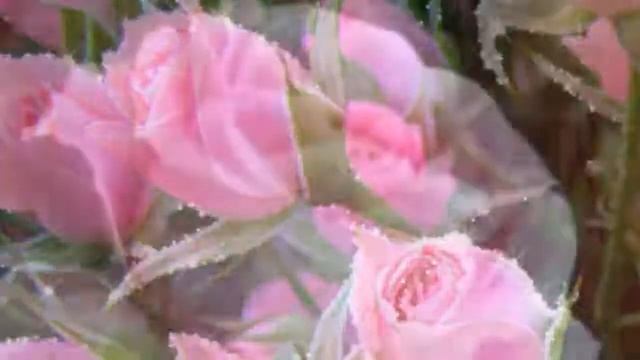 Поздравляю с Днем 8 МАРТА. Любимую жену!!! смотреть онлайн