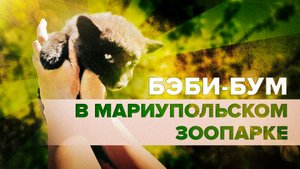 В зоопарке Мариуполя сразу несколько животных обзавелись потомством
