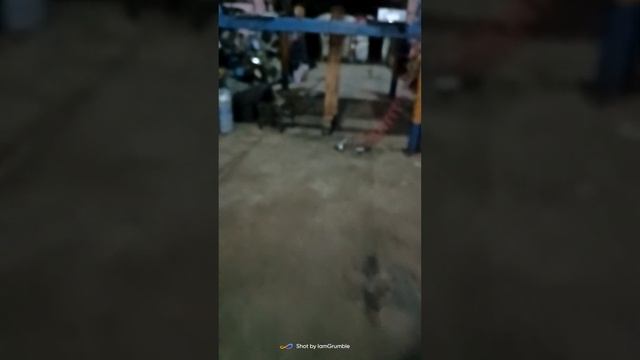 Проблема стартеров Valeo Audi Q5 3.2 бензин смотреть онлайн