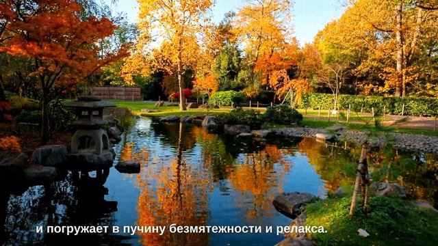 Японский сад: гармония, аскетизм, строгость форм, четкость линий