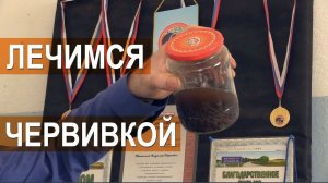 Лечение червивкой? Настойка на червях