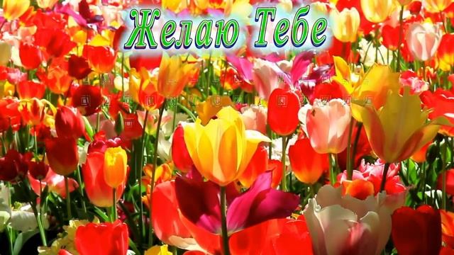 С Днём Рождения Юля смотреть онлайн