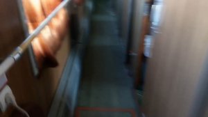 Мы все еще дети