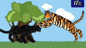 Чёрная пантера против Тигра. #1