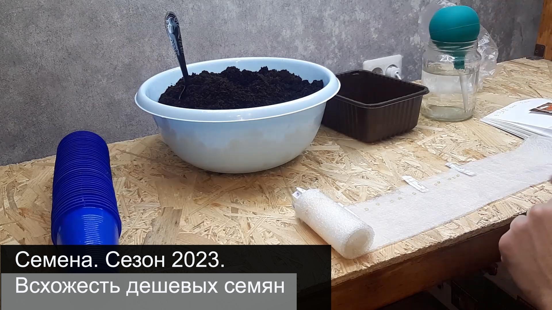 Семена видео