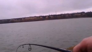 Daiwa Silver Creek 2.05m, 5-21g/ Fishing 2019