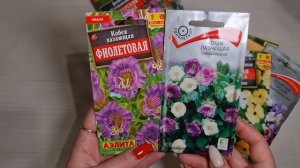 ХОТИТЕ ЗЕЛЁНУЮ СТЕНУ С ЦВЕТАМИ? Просто посейте ЭТИ ЦВЕТЫ! БЕЗ РАССАДЫ!
