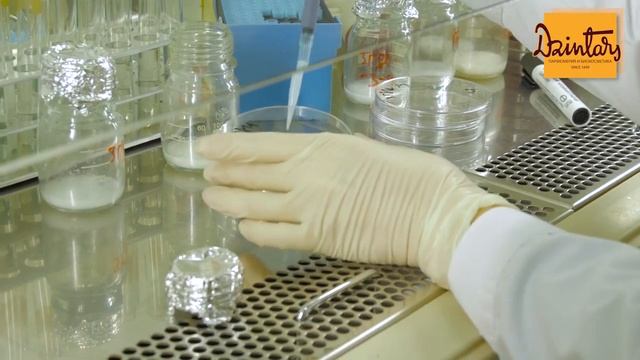 О фабрике Dzintars Дзинтарс