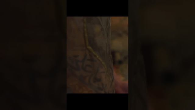 1000061874. смотреть онлайн