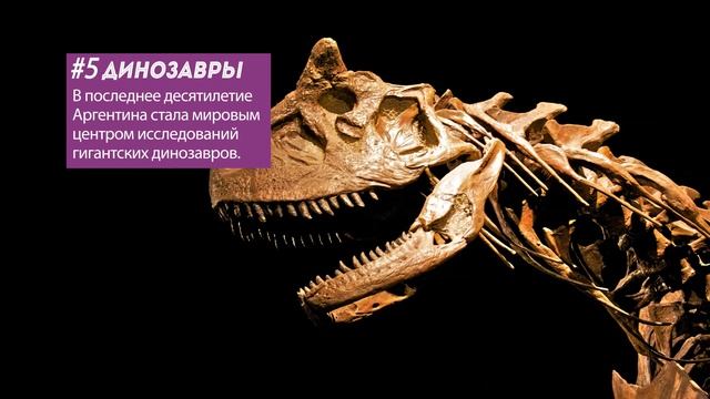 7 фактов об Аргентине - история и интересные традиции страны смотреть онлайн