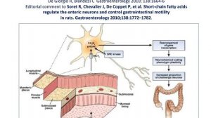 Stato dell'arte nello studio del Microbiota (E. Corazziari)