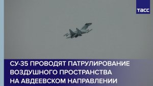 Боевой вылет Су-35