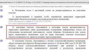 КТО МОЖЕТ ИСПОЛЬЗОВАТЬ ЛЕСНУЮ АМНИСТИЮ В 2024 ГОДУ. РАЗБИРАЕМ ТОНКОСТИ