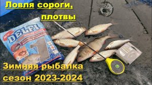 Ловля сороги и плотвы зимой. Зимняя рыбалка сезон 2023 - 2024