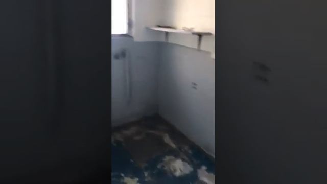 Final walk-through at 8 palm Drive смотреть онлайн