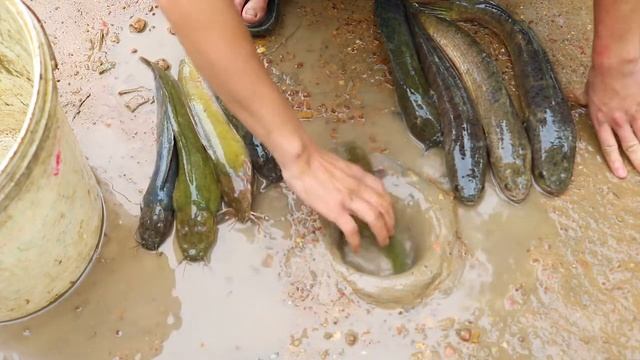 Unbelievable Fishing Experiment: Catch Fish From Hole With Python #002 смотреть онлайн