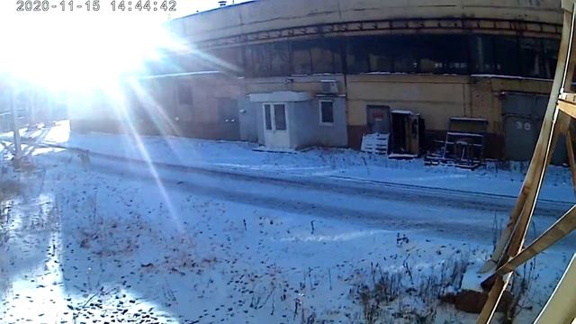 Стая собак смотреть онлайн