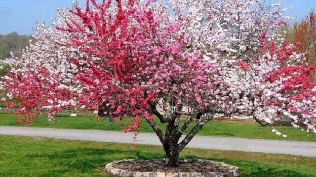 21 марта 2023 г. смотреть онлайн