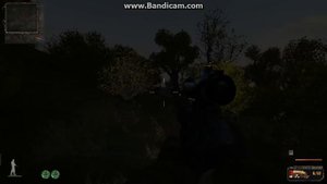 S.T.A.L.K.E.R. народная солянка. Задание: принести вороньи яйца повару