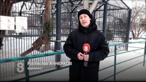 ПРАЗДНИЧНЫЕ ВЫХОДНЫЕ В ЗООПАРКЕ «РОЕВ РУЧЕЙ»