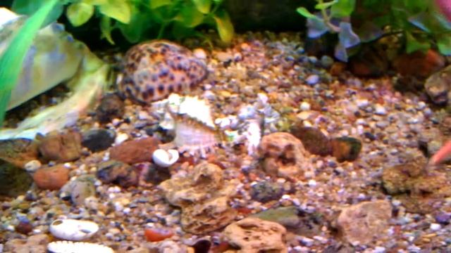 поделки своими руками и не только смотреть онлайн