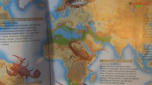"Насекомые и их знакомые". №1 Золотой скорпион. Обзор. Патворщик шоу.