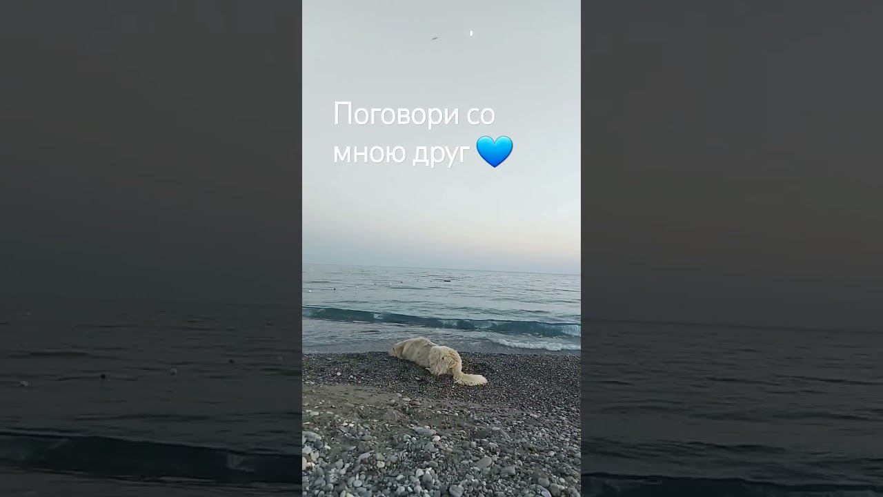 Друг #love #светланаклимовабабичева #shorts #sorts