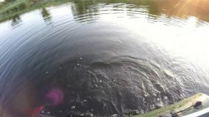 САМОДЕЛЬНАЯ БЕЗОСЕВАЯ ВЕРТУШКА , - СНОВА РУЛИТ! / HOMEMADE AXIS-LESS CHOPPER, - STEERING AGAIN!