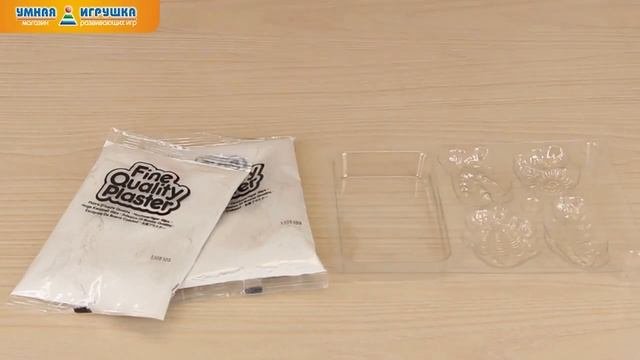 Набор юного палеонтолога «Палеонтологический музей» 4M