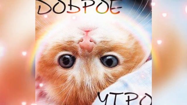 С добрым прекрасным утром! 🌅🌅🌅 Отличного дня!