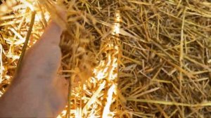 И без навеса можно хранить качественно солому/сено для КРС! Защитный флис LanBel для укрытия скирд