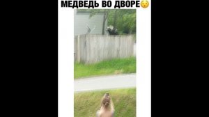 ПРИКОЛ - медведь во дворе