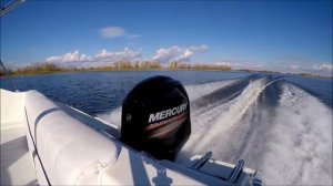 mercury F 100 ELPT EFI