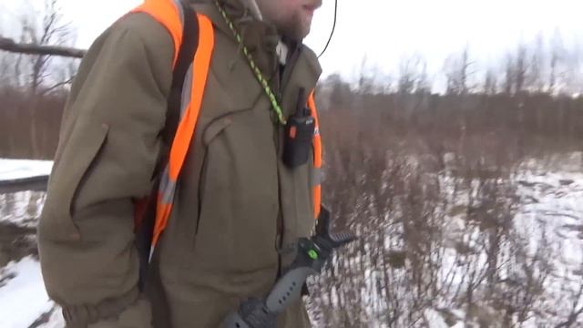 УДАЧНОЕ ЗАКРЫТИЕ СЕЗОНА ЗАГОННОЙ ОХОТЫ НА ЛОСЯ, КАБАНА, КОСУЛЮ смотреть онлайн