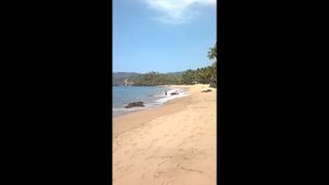 Лучшие пляжи Индии.Райский пляж. Гоа. Пляж Кола.